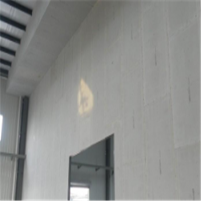 寻乌宁波ALC板|EPS加气板隔墙与混凝土整浇联接的实验研讨
